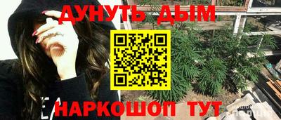 прущие крисы Кимры